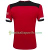 Tenue Southampton Domicile 2019-2020 Maillot de Foot